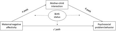 Is maternal negative affectivity related to psychosocial behavior of preterm and term-born toddlers through mother–child interaction?